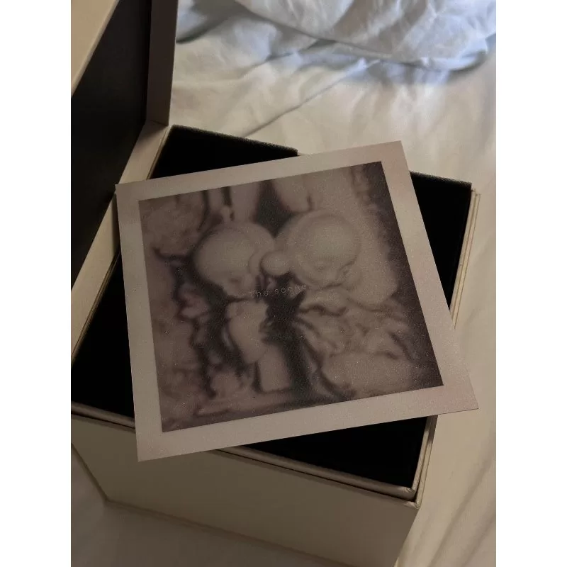 Figura limitada de Skullpanda Inside