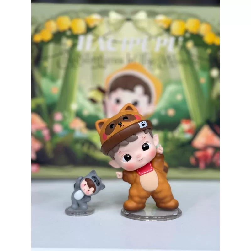 HACIPUPU Serie Aventuras en el Bosque El Pequeño Mapache