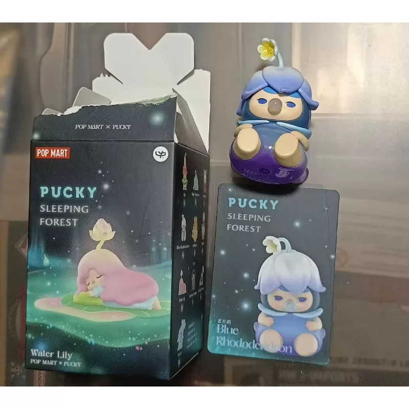 Rododendro azul de la serie Bosque Durmiente PUCKY